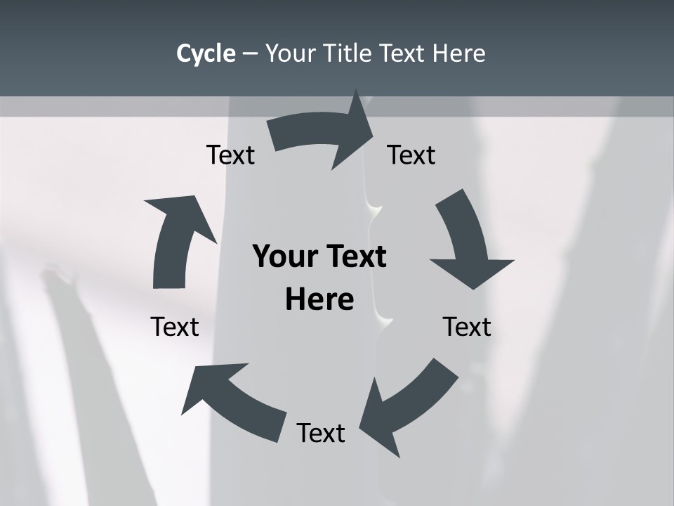 Outside Sizes Females PowerPoint Template