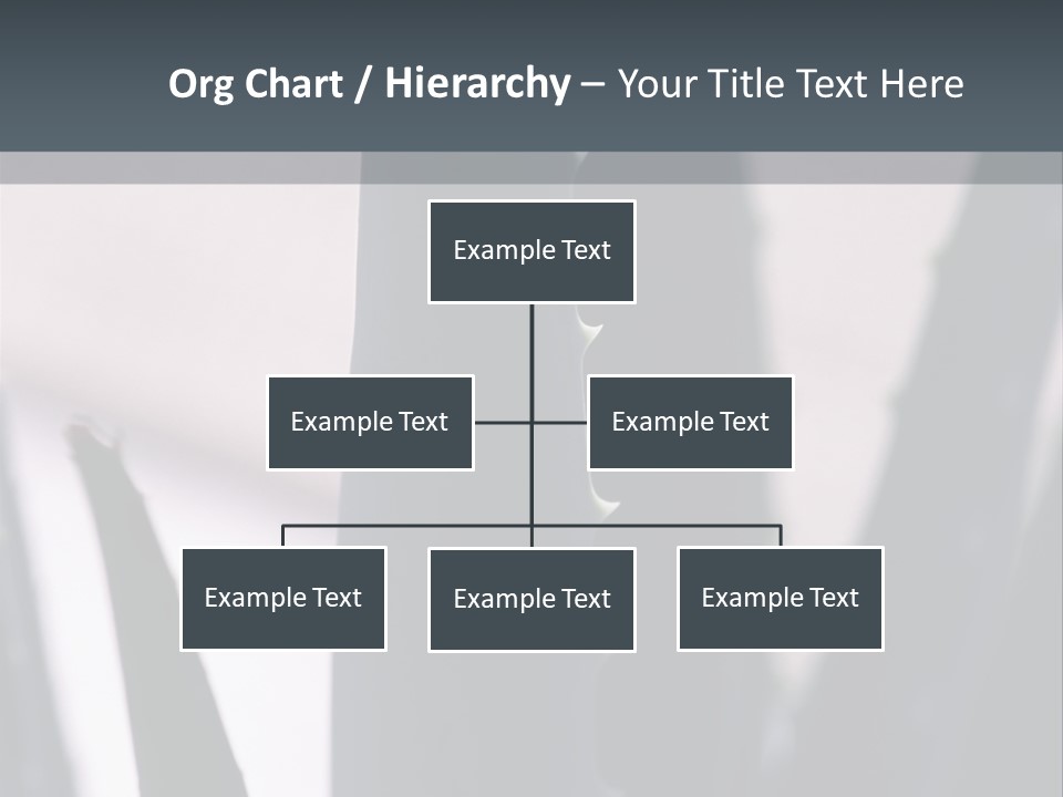 Outside Sizes Females PowerPoint Template