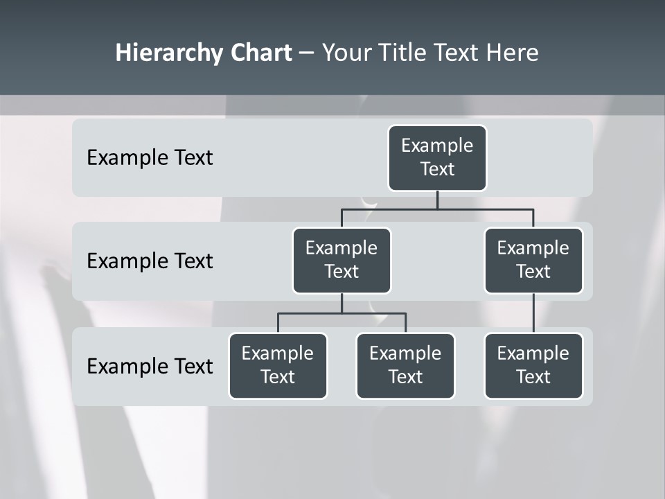 Outside Sizes Females PowerPoint Template