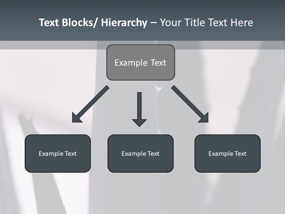 Outside Sizes Females PowerPoint Template
