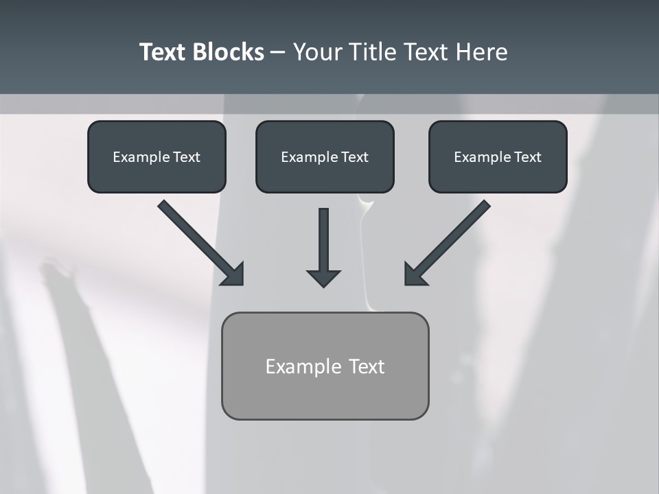 Outside Sizes Females PowerPoint Template