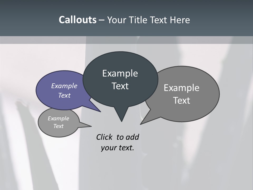 Outside Sizes Females PowerPoint Template