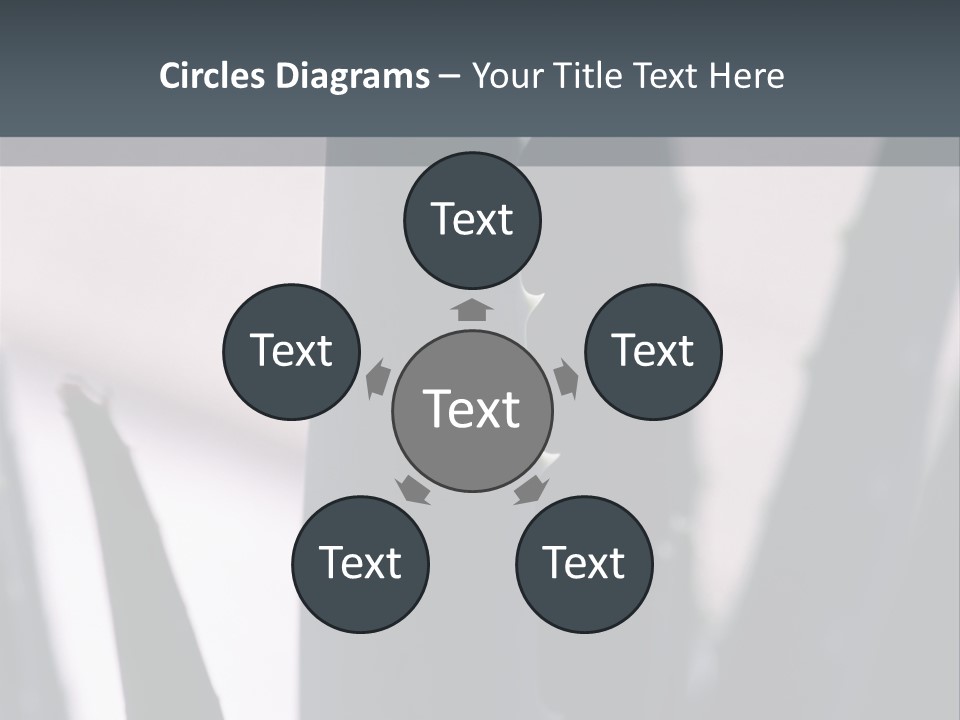 Outside Sizes Females PowerPoint Template