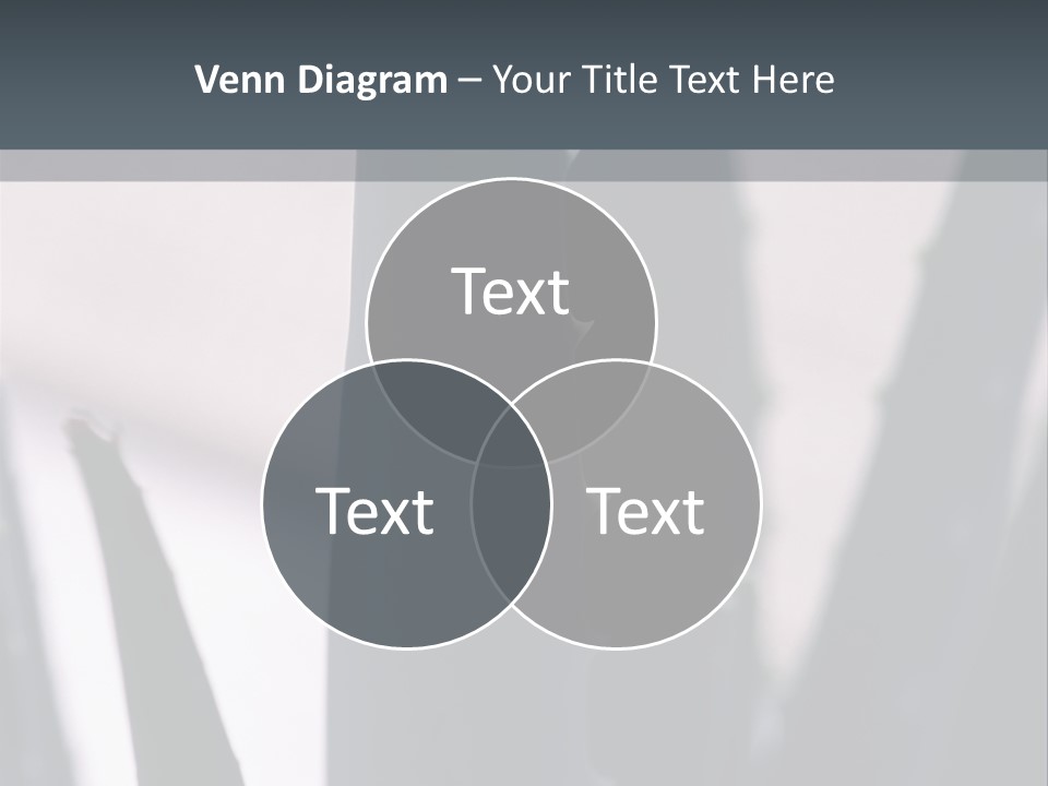 Outside Sizes Females PowerPoint Template