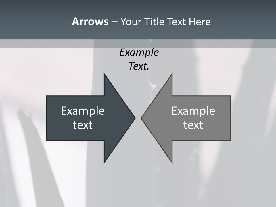 Outside Sizes Females PowerPoint Template