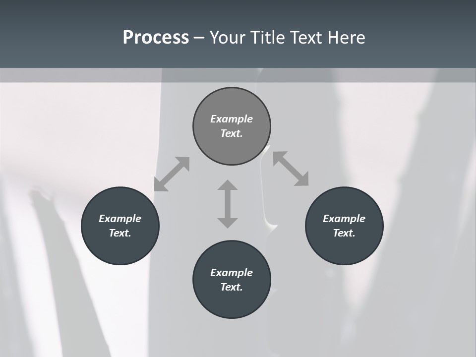 Outside Sizes Females PowerPoint Template