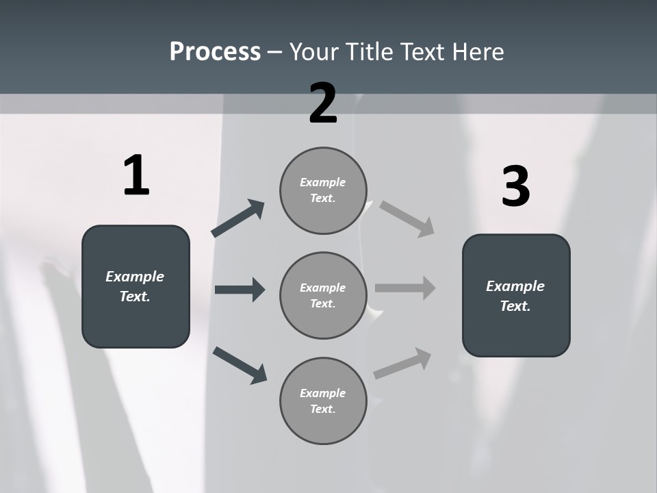 Outside Sizes Females PowerPoint Template