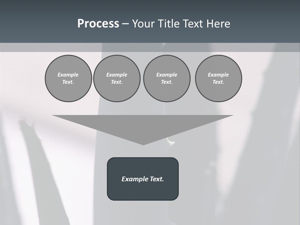 Outside Sizes Females PowerPoint Template