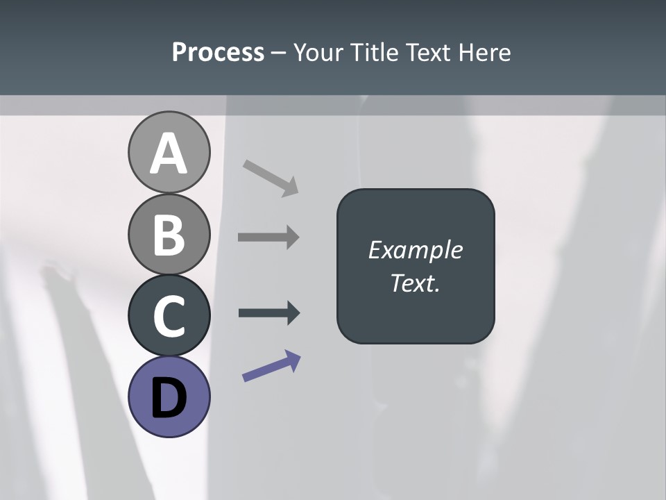Outside Sizes Females PowerPoint Template
