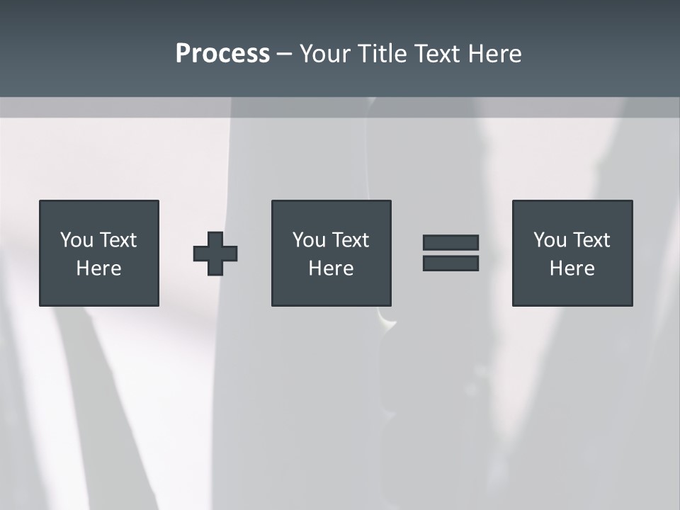 Outside Sizes Females PowerPoint Template
