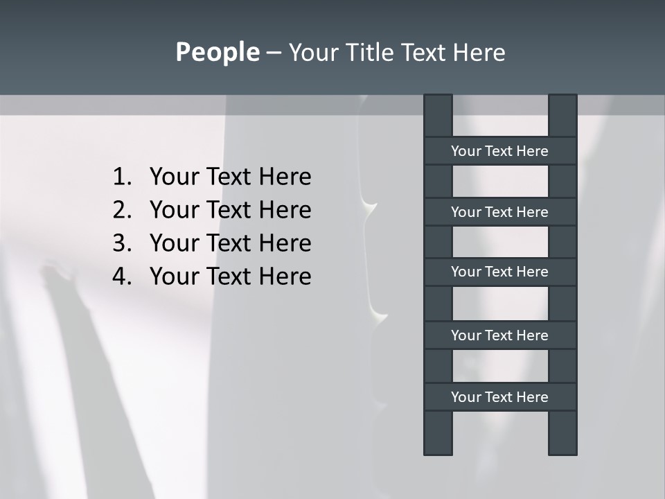 Outside Sizes Females PowerPoint Template