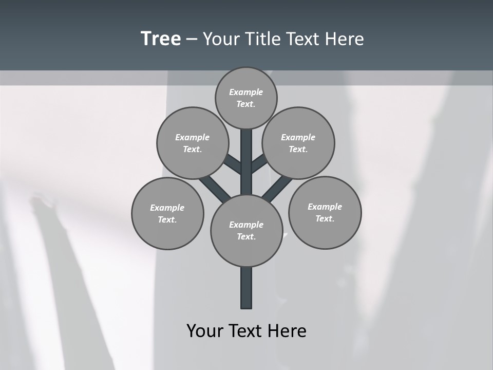 Outside Sizes Females PowerPoint Template