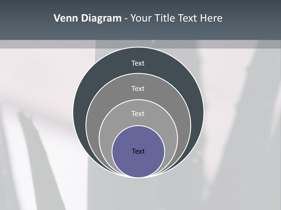 Outside Sizes Females PowerPoint Template