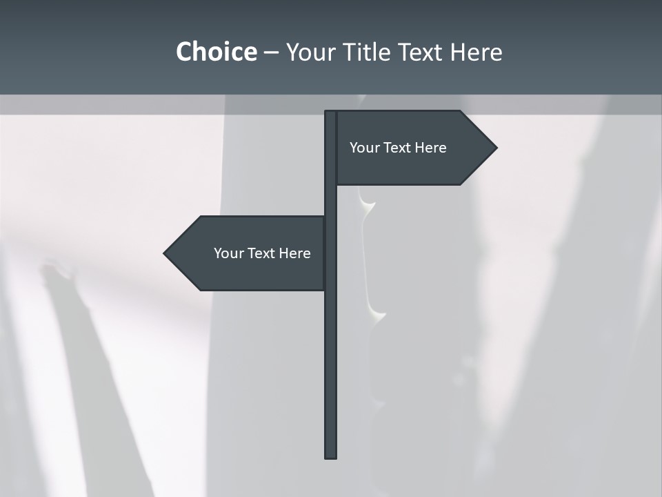 Outside Sizes Females PowerPoint Template