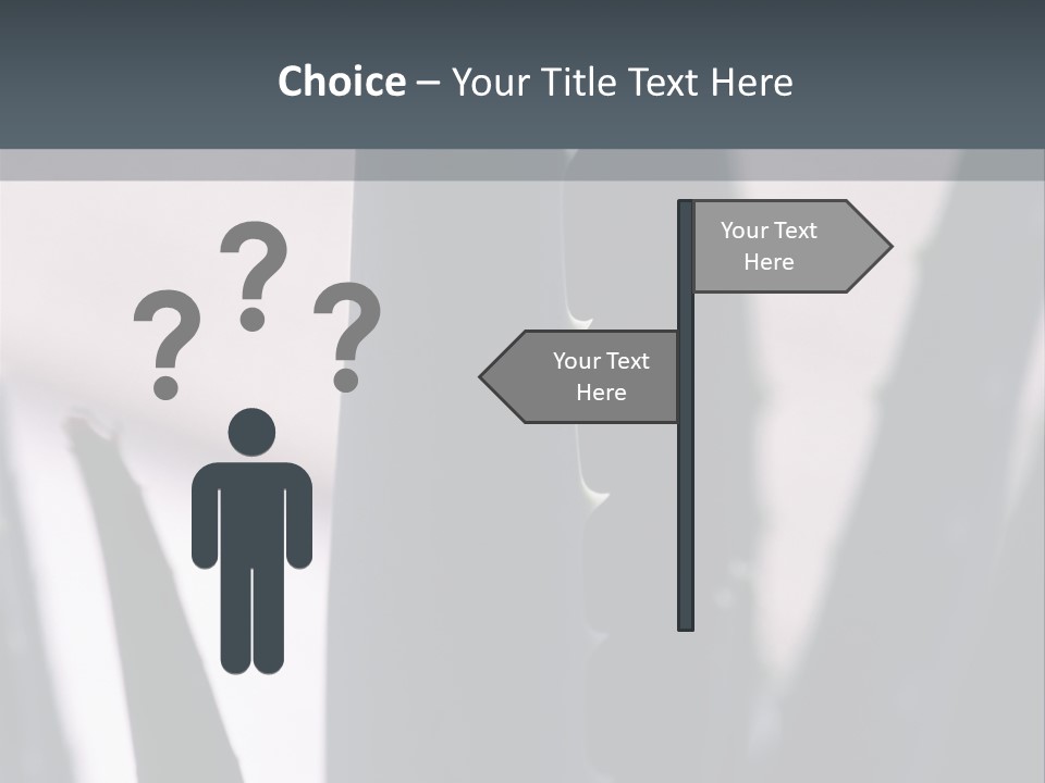 Outside Sizes Females PowerPoint Template