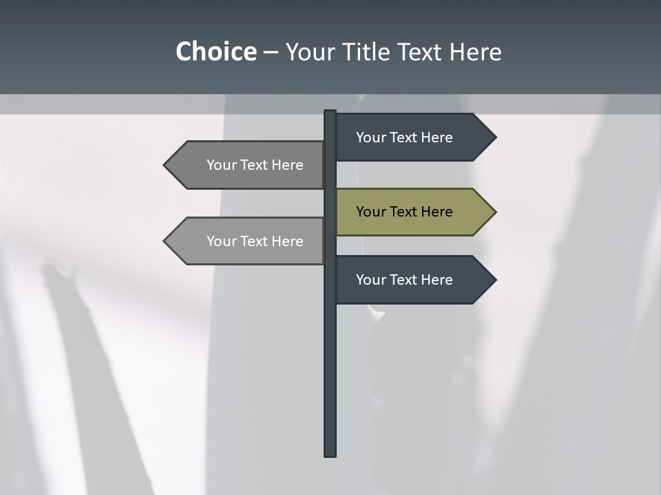 Outside Sizes Females PowerPoint Template