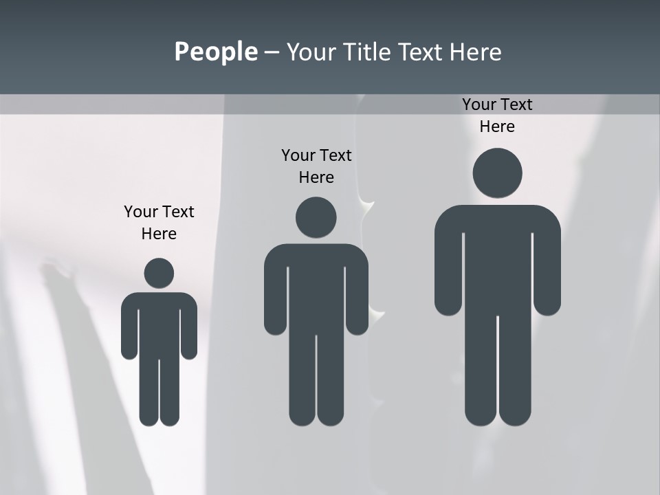 Outside Sizes Females PowerPoint Template