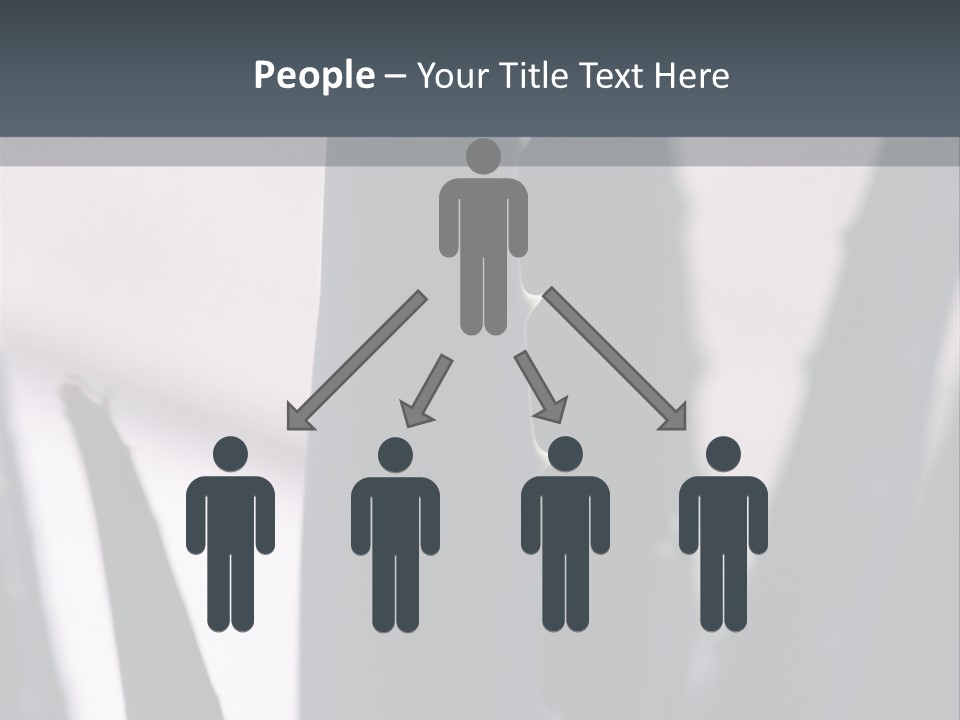 Outside Sizes Females PowerPoint Template