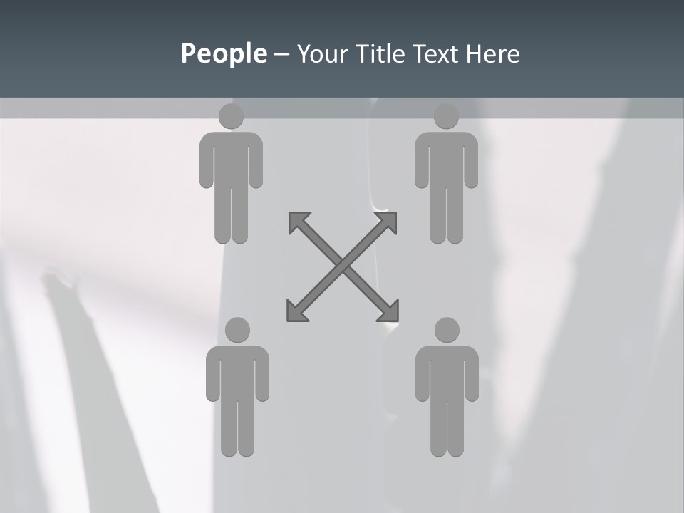 Outside Sizes Females PowerPoint Template