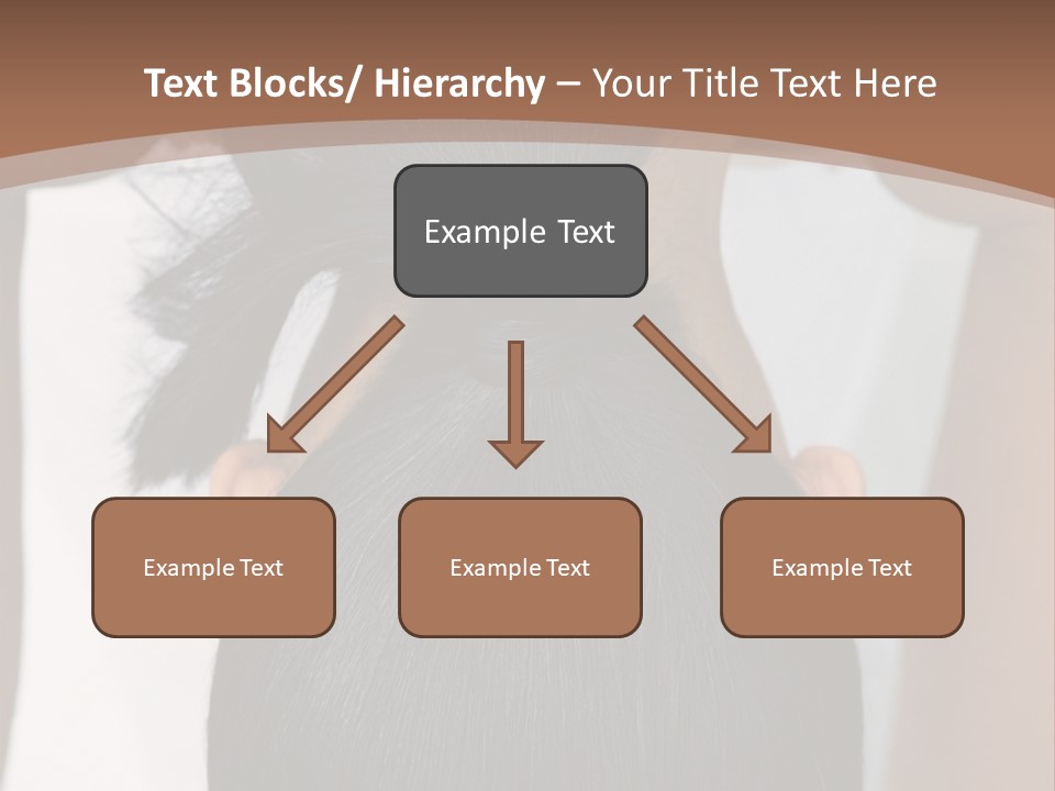 Large Oversized Amusement Park PowerPoint Template