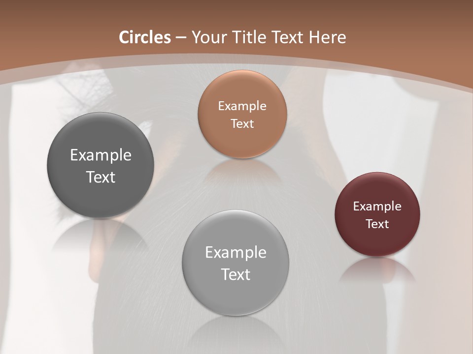 Large Oversized Amusement Park PowerPoint Template