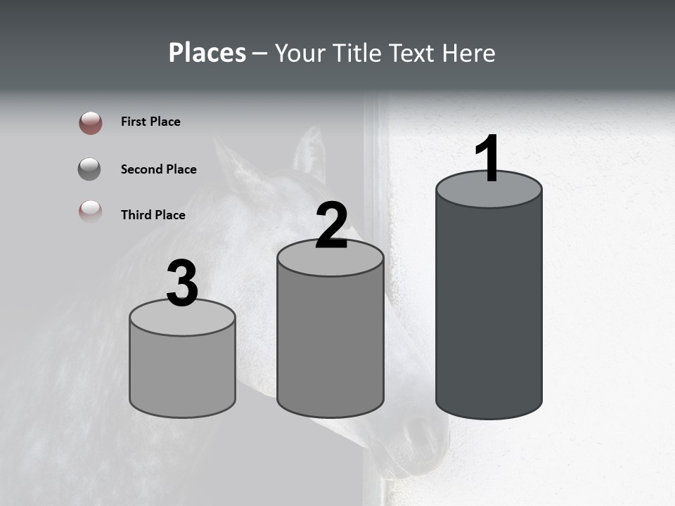 Profile Nobody Fineartprints PowerPoint Template