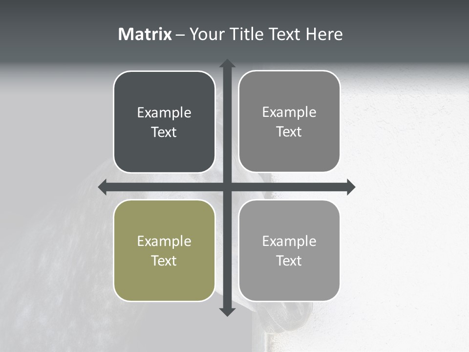 Profile Nobody Fineartprints PowerPoint Template