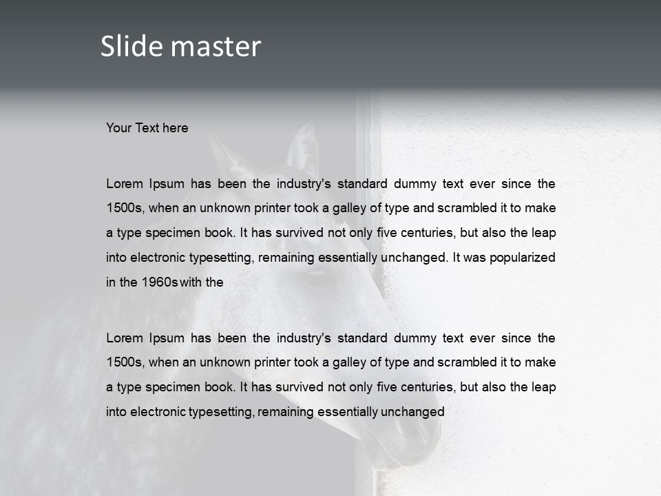 Profile Nobody Fineartprints PowerPoint Template