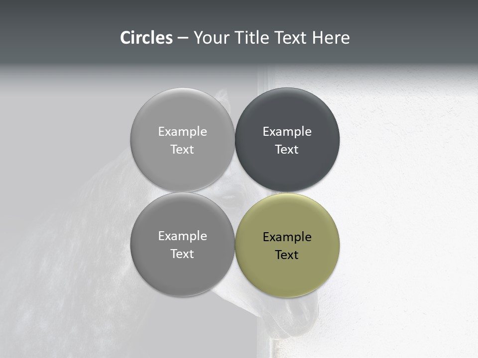 Profile Nobody Fineartprints PowerPoint Template