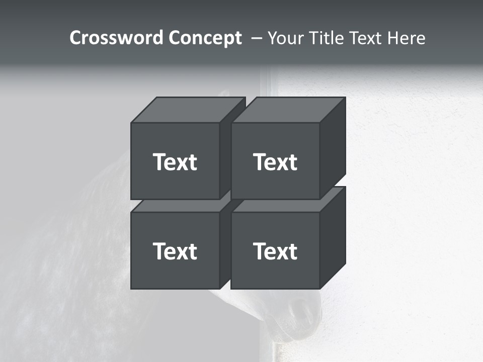 Profile Nobody Fineartprints PowerPoint Template
