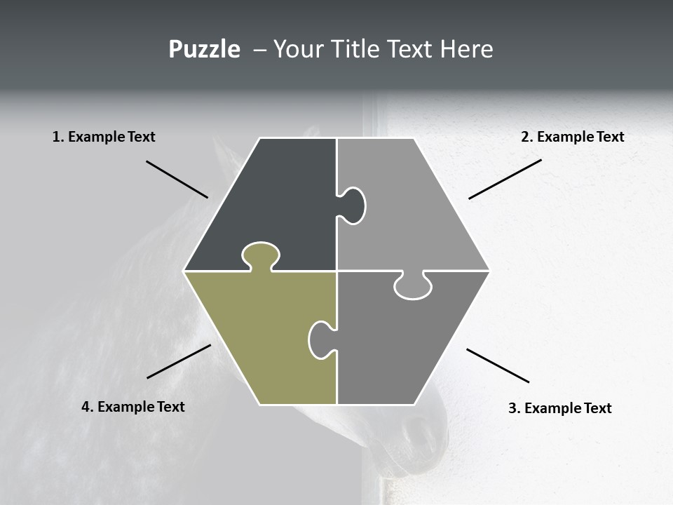 Profile Nobody Fineartprints PowerPoint Template