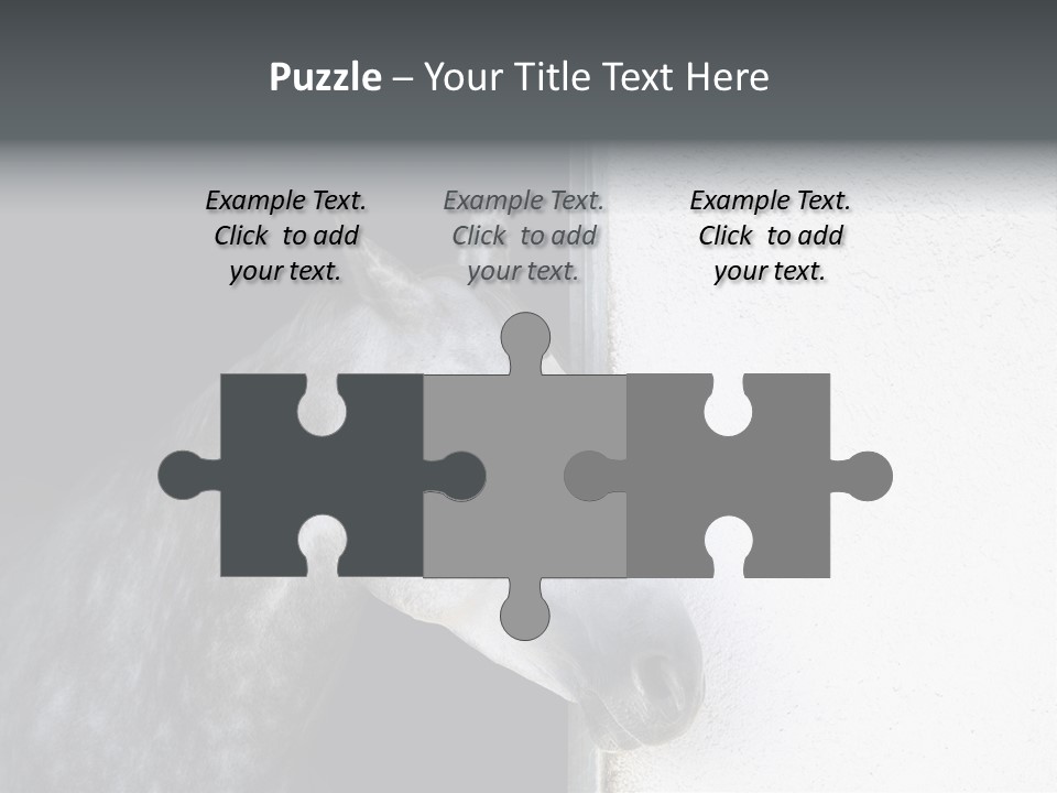 Profile Nobody Fineartprints PowerPoint Template