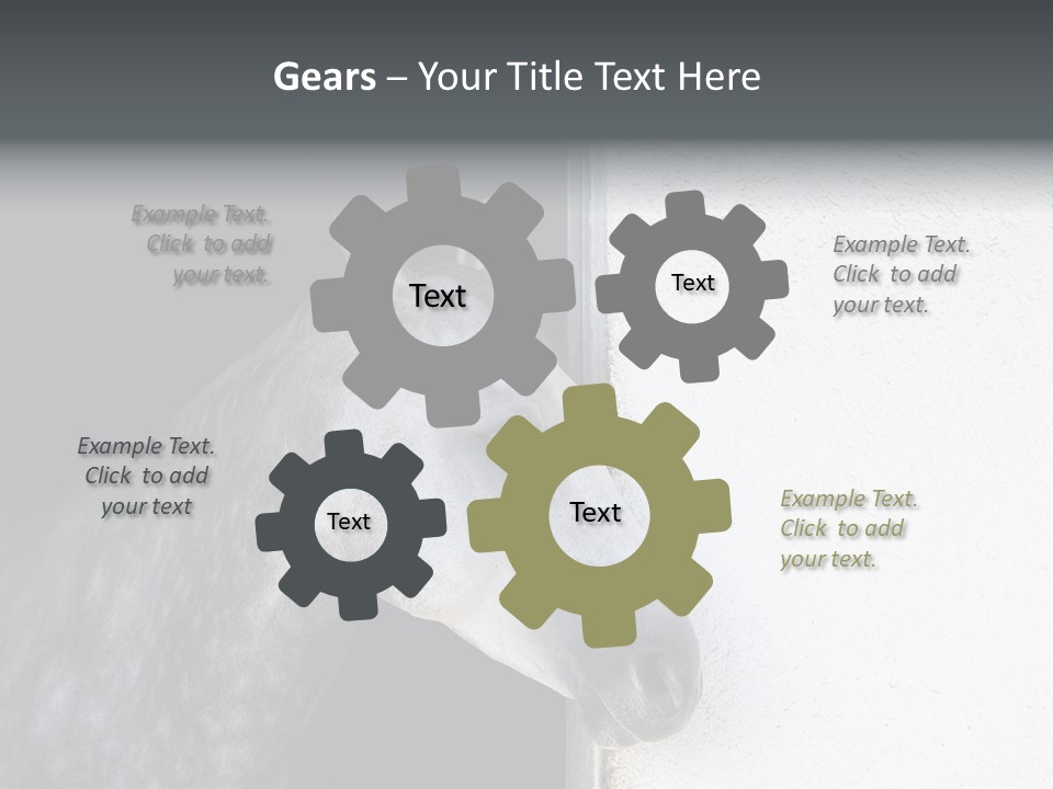 Profile Nobody Fineartprints PowerPoint Template