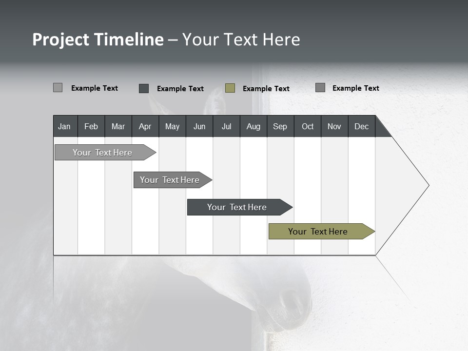 Profile Nobody Fineartprints PowerPoint Template