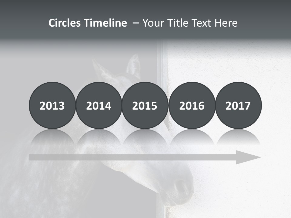 Profile Nobody Fineartprints PowerPoint Template