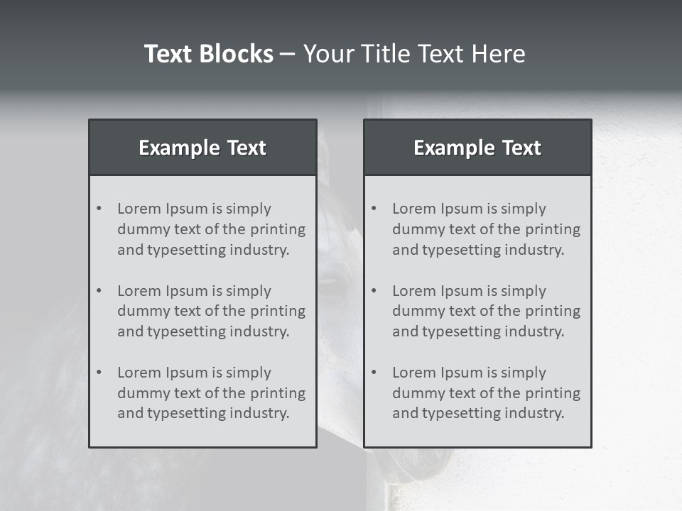 Profile Nobody Fineartprints PowerPoint Template