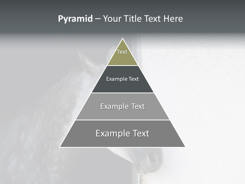 Profile Nobody Fineartprints PowerPoint Template