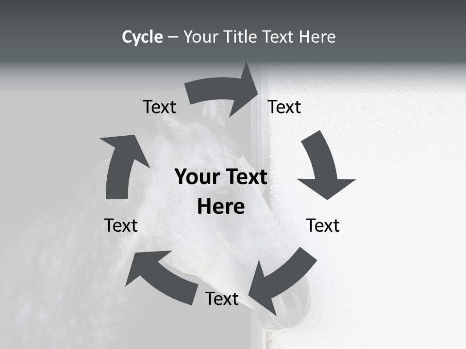 Profile Nobody Fineartprints PowerPoint Template