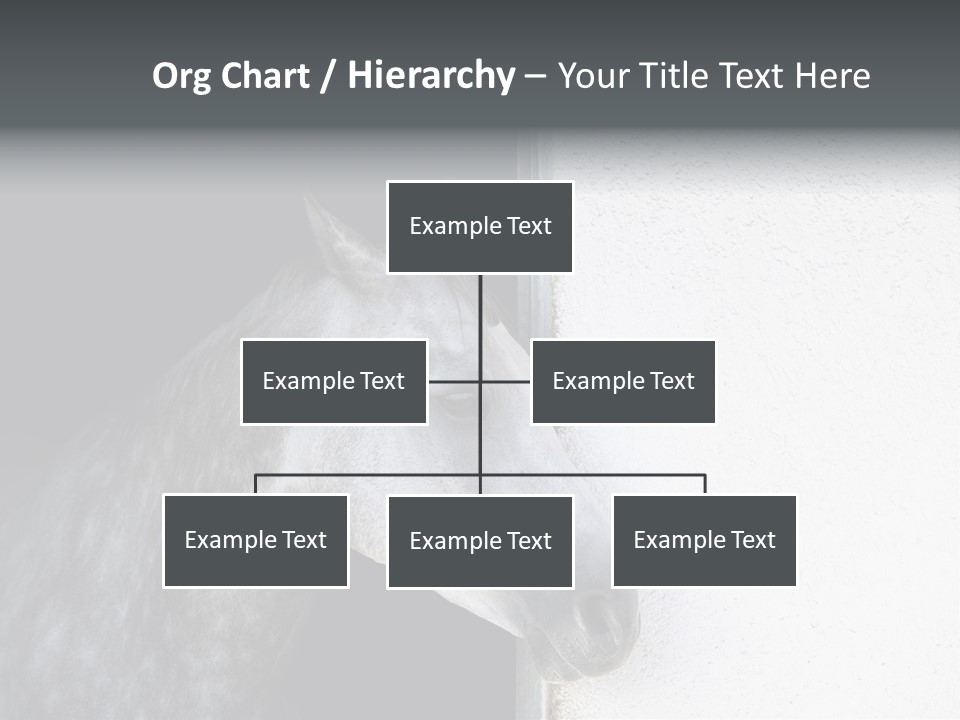 Profile Nobody Fineartprints PowerPoint Template