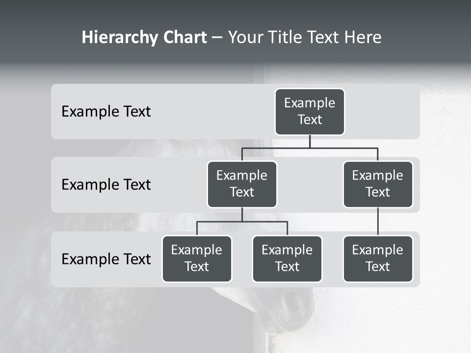 Profile Nobody Fineartprints PowerPoint Template