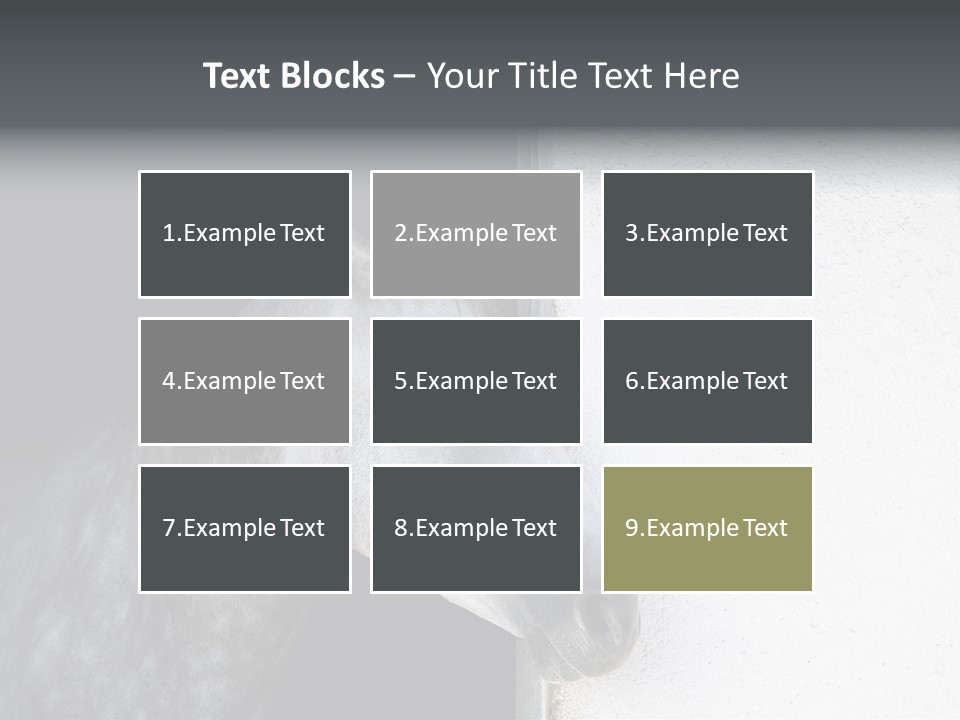 Profile Nobody Fineartprints PowerPoint Template