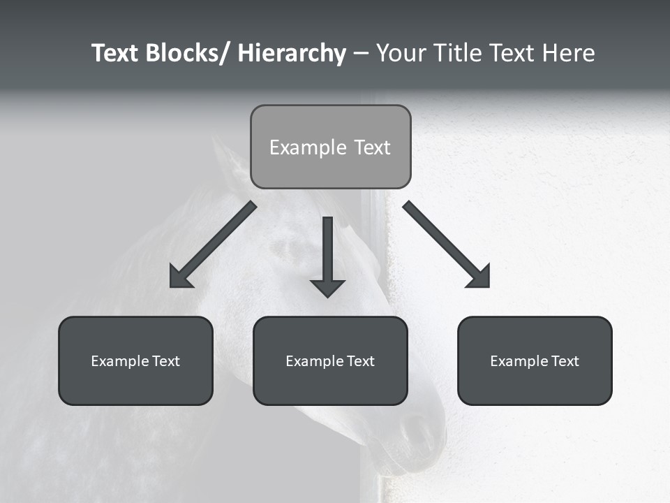 Profile Nobody Fineartprints PowerPoint Template