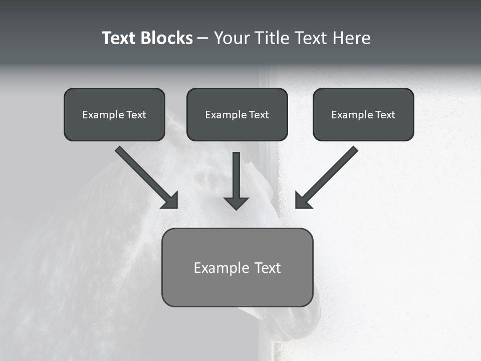 Profile Nobody Fineartprints PowerPoint Template