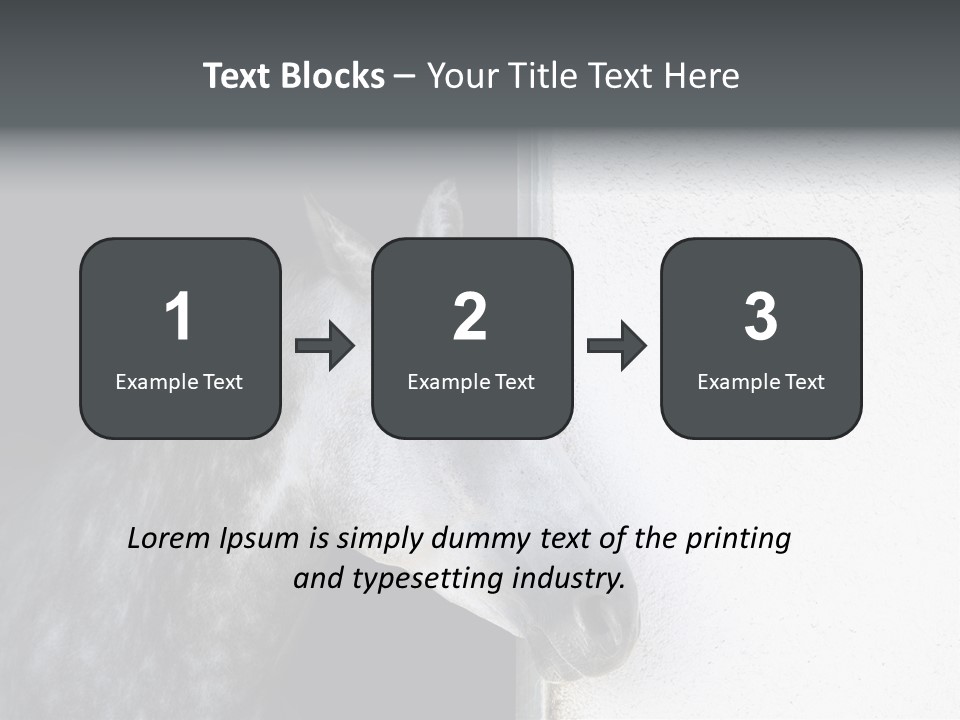 Profile Nobody Fineartprints PowerPoint Template