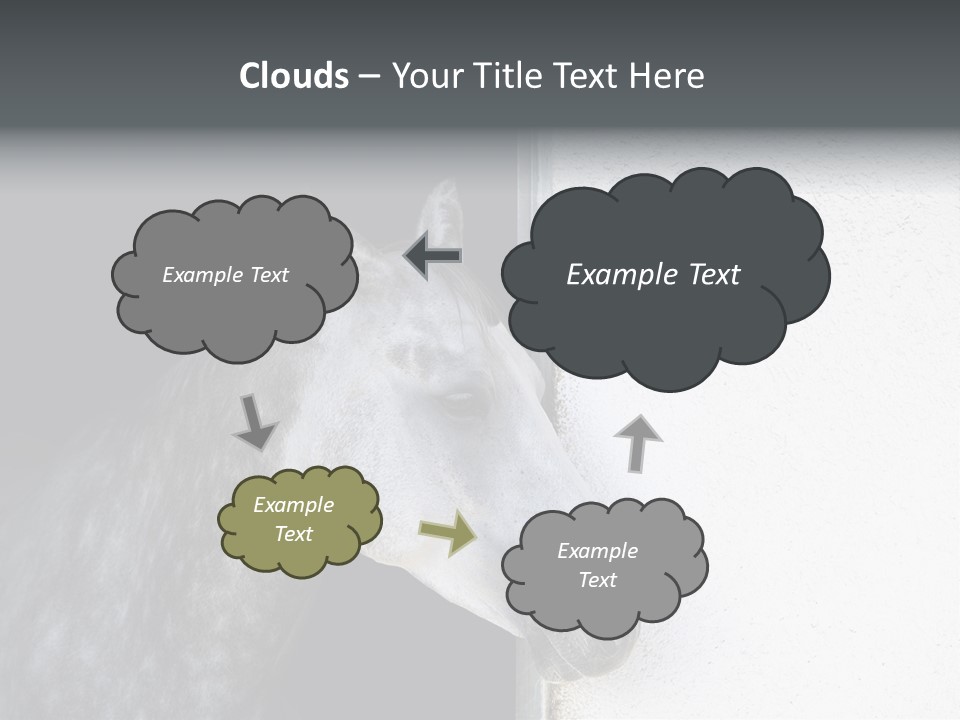 Profile Nobody Fineartprints PowerPoint Template