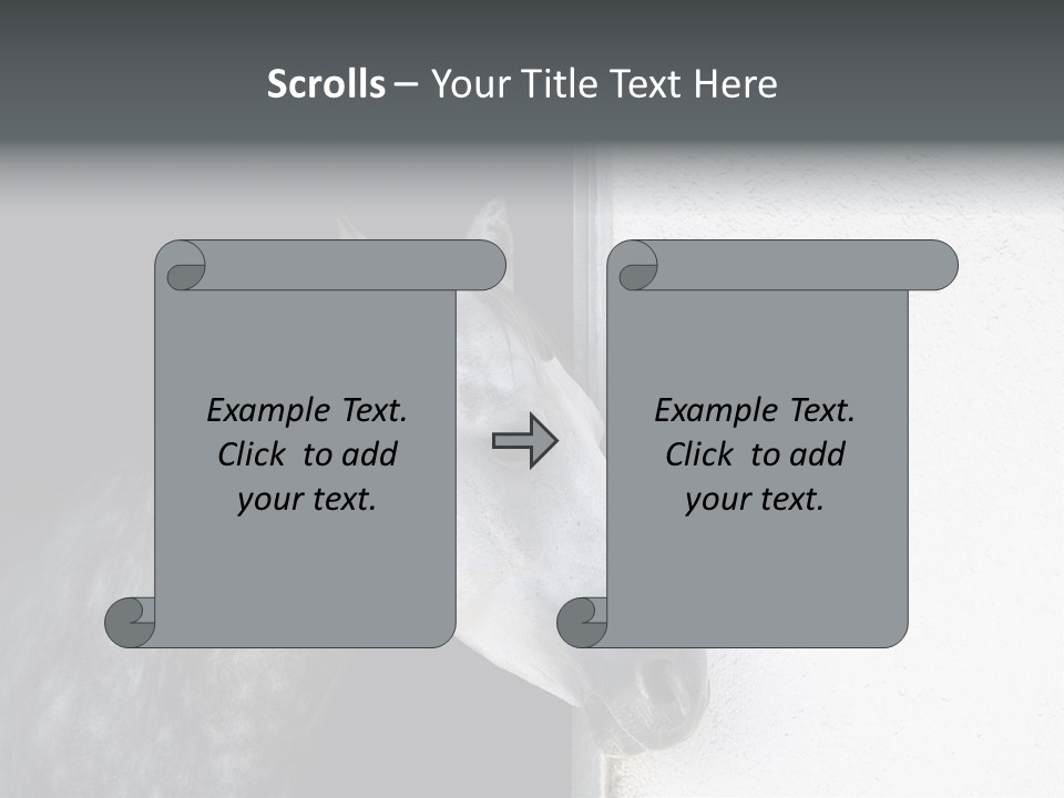 Profile Nobody Fineartprints PowerPoint Template