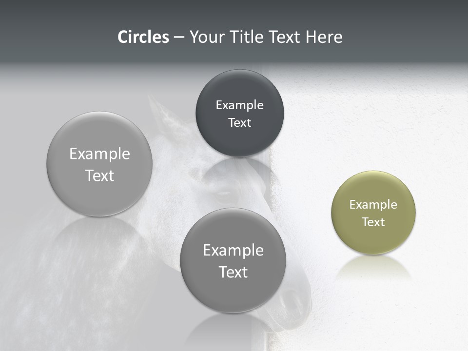 Profile Nobody Fineartprints PowerPoint Template