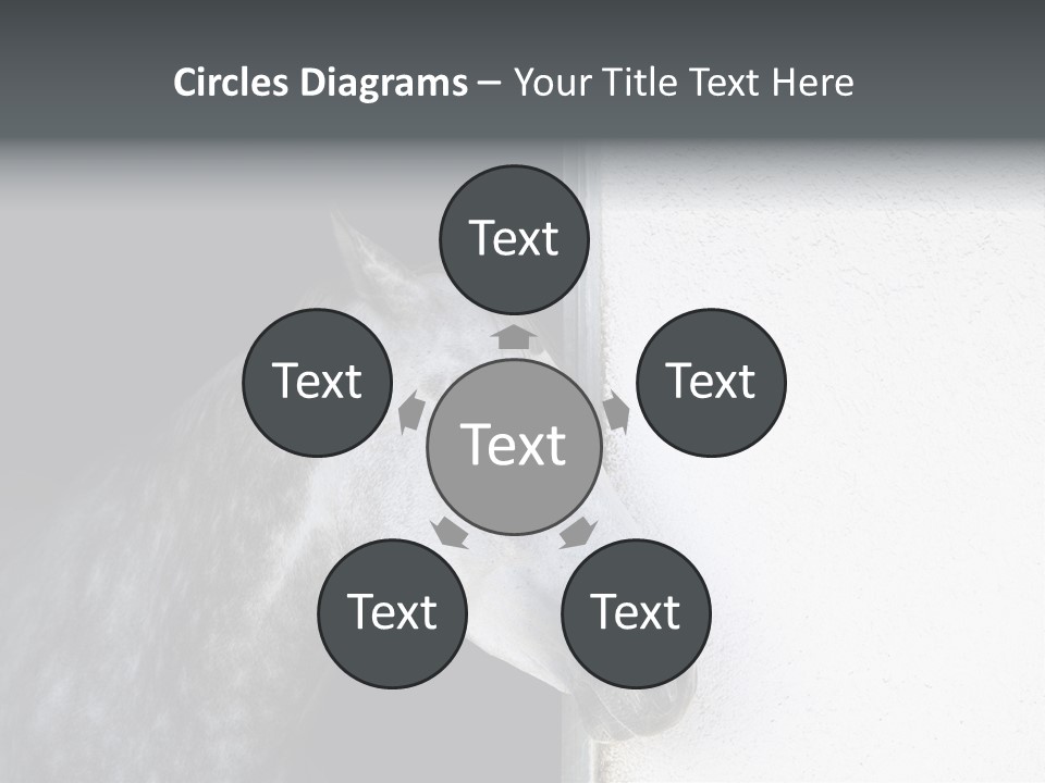 Profile Nobody Fineartprints PowerPoint Template