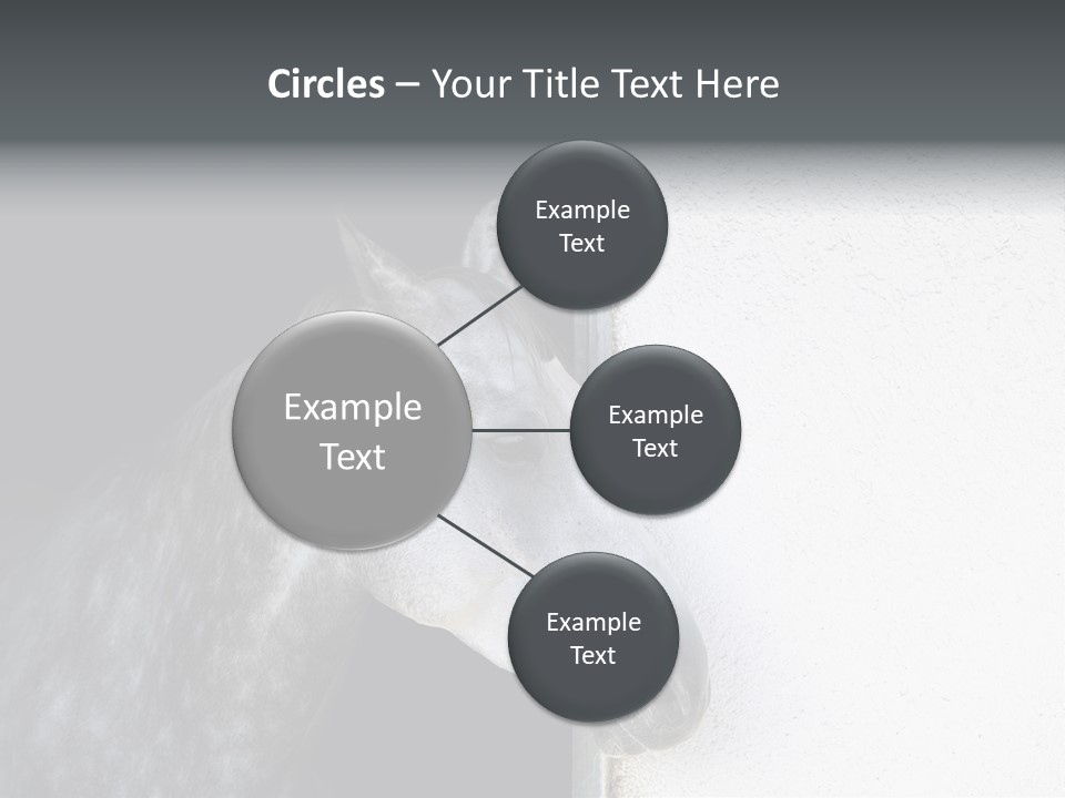 Profile Nobody Fineartprints PowerPoint Template