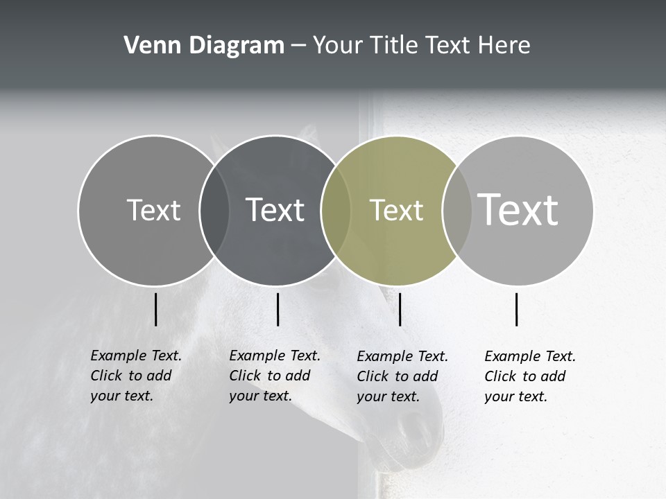 Profile Nobody Fineartprints PowerPoint Template